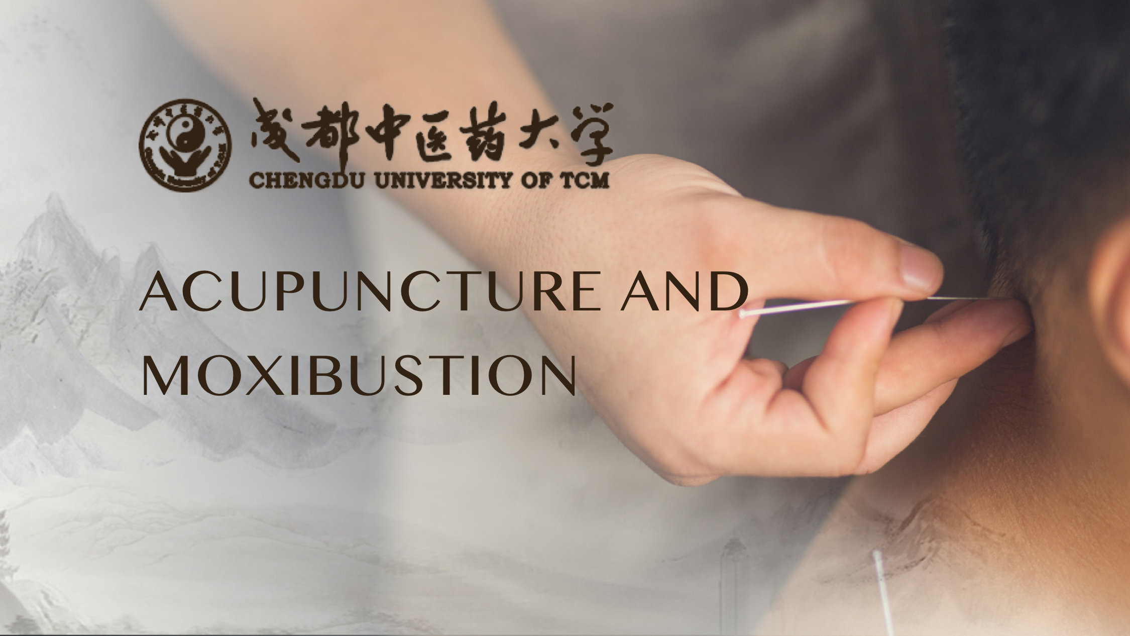 Acupuncture and moxibustion CUTCM-AM